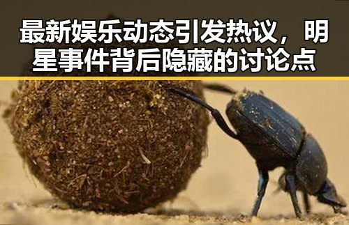 最新娱乐动态引发热议，明星事件背后隐藏的讨论点