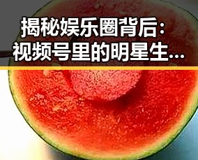 揭秘娱乐圈背后：视频号里的明星生活与黑幕