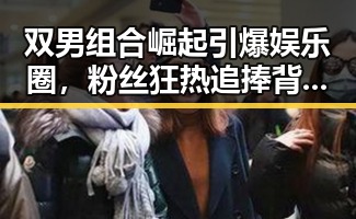 双男组合崛起引爆娱乐圈，粉丝狂热追捧背后故事