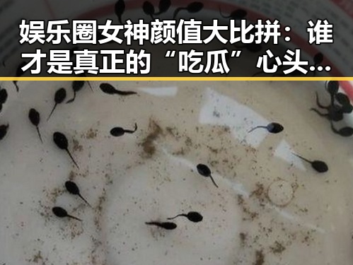 娱乐圈女神颜值大比拼：谁才是真正的“吃瓜”心头宝？